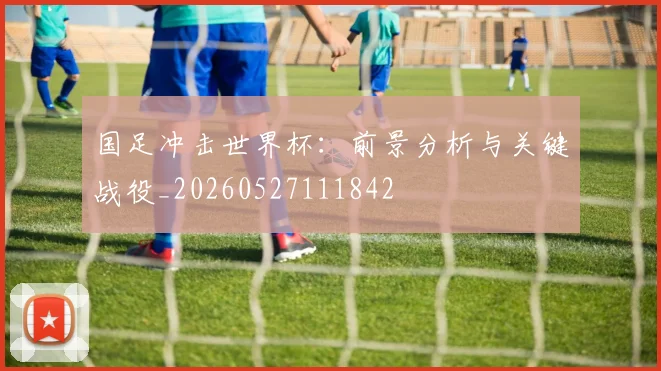 国足冲击世界杯：前景分析与关键战役_20260527111842
